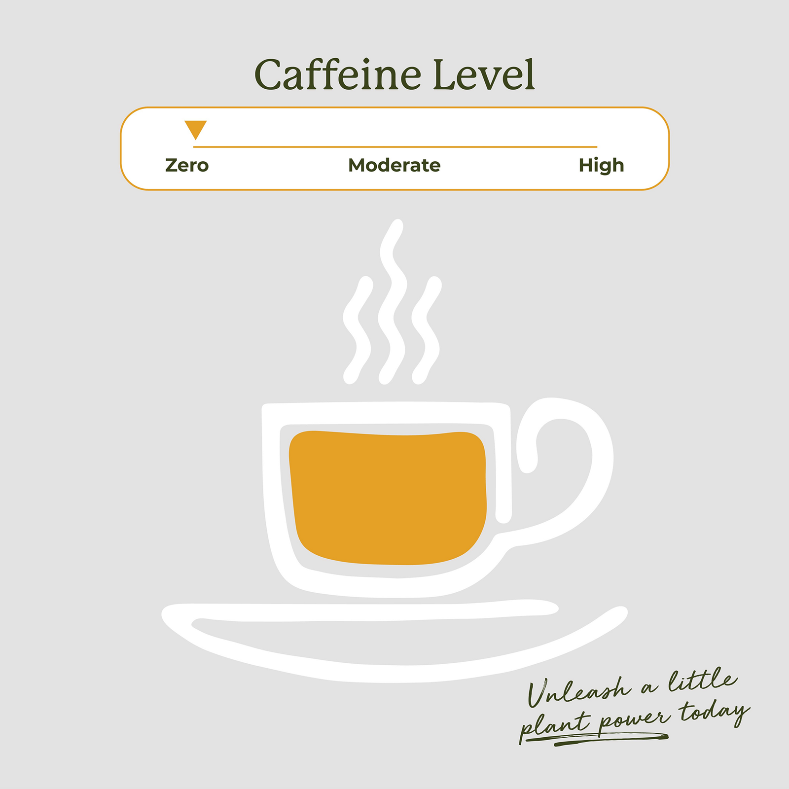 Turmeric Ginger Organic Tea Bags - Image 4